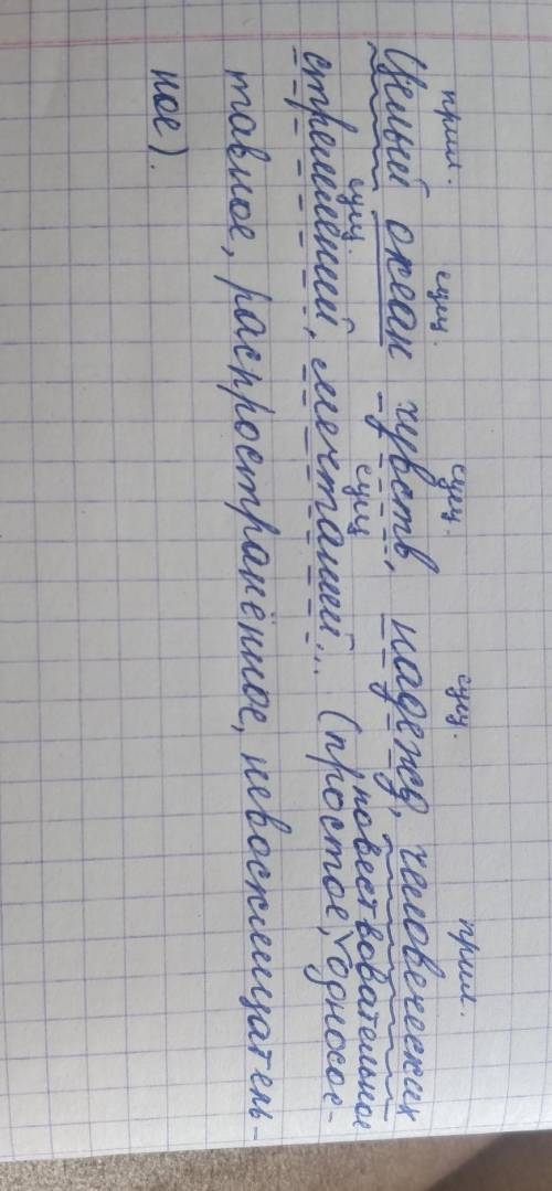 Синтаксический разбор односоставного предложения:Целый океан чувств, надежд, человеческий стремлений