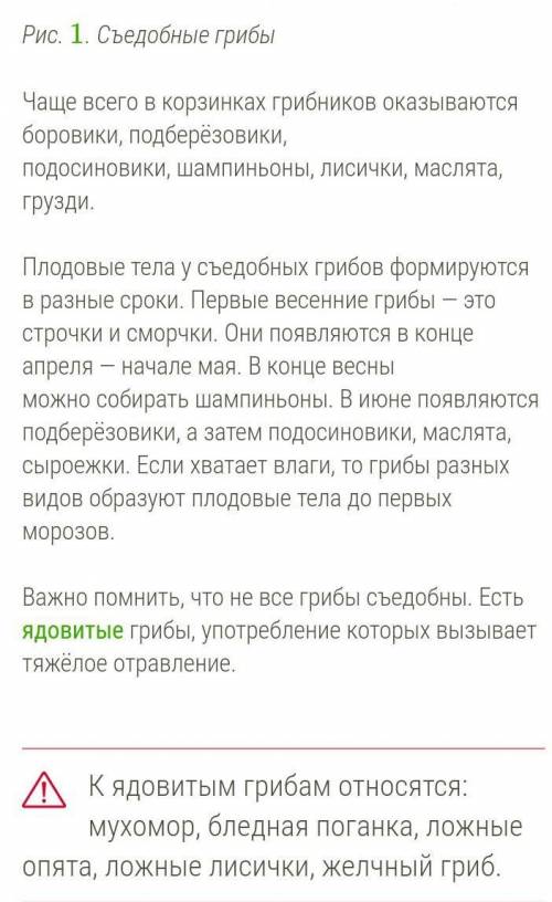 Строение съедобных и ядовитых грибов