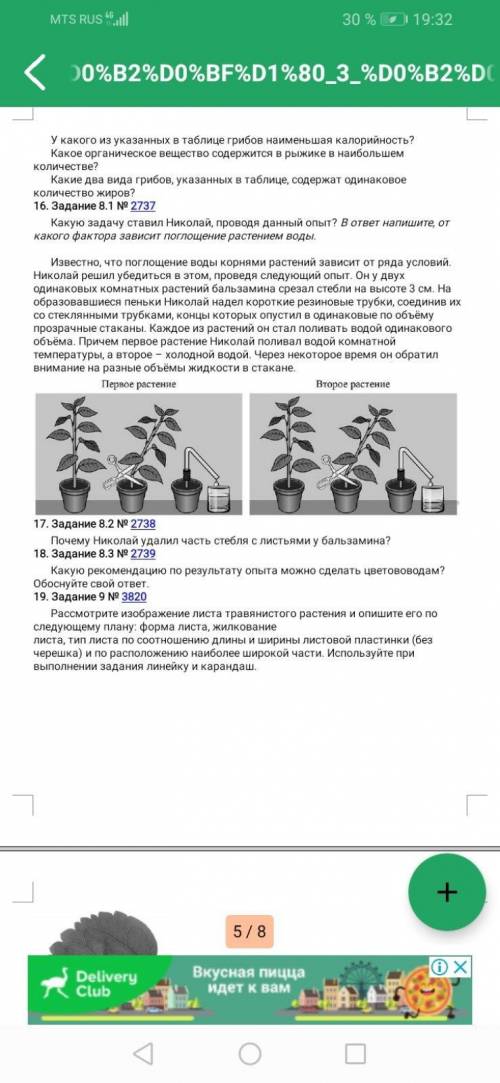 Впр биология 6 класс можете решить