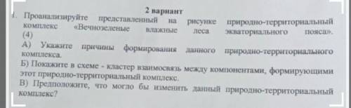 1. Проанализируйте представленный рисунке природно-территориальный комплекс «Вечнозеленые Влажные эк