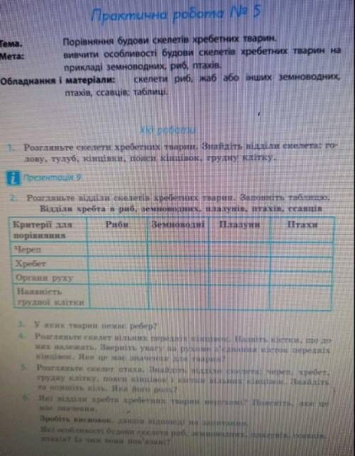 , дам все звёзды которые есть
