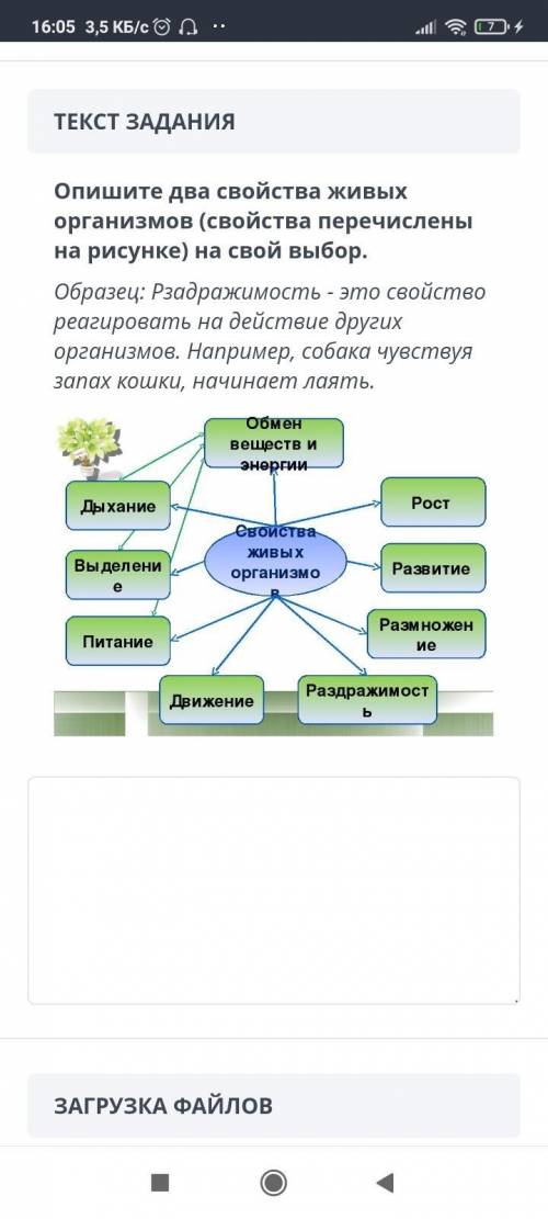 завтра СОР переписывать а я не понимаю