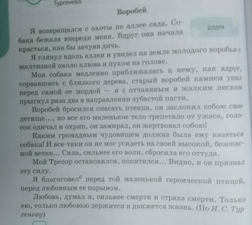 Написать изложение по данному тексту