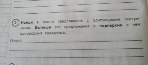 Наступила зима. Но для белки она не страшна. Сама зима ещё лучше утеплила беличий домик плот