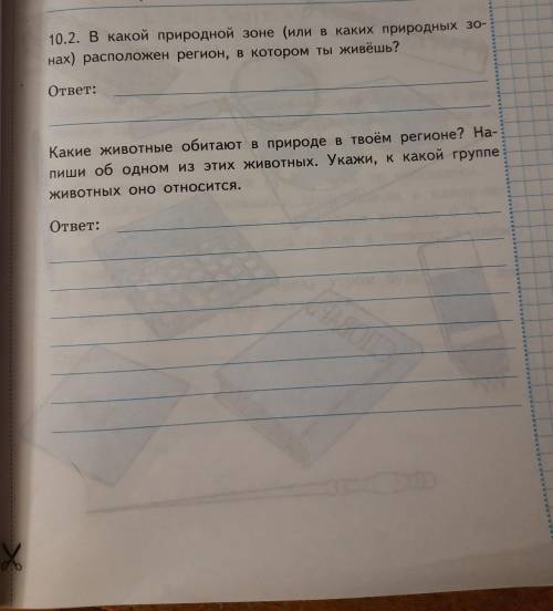 , ВПР 4 класс (я живу в Перми )