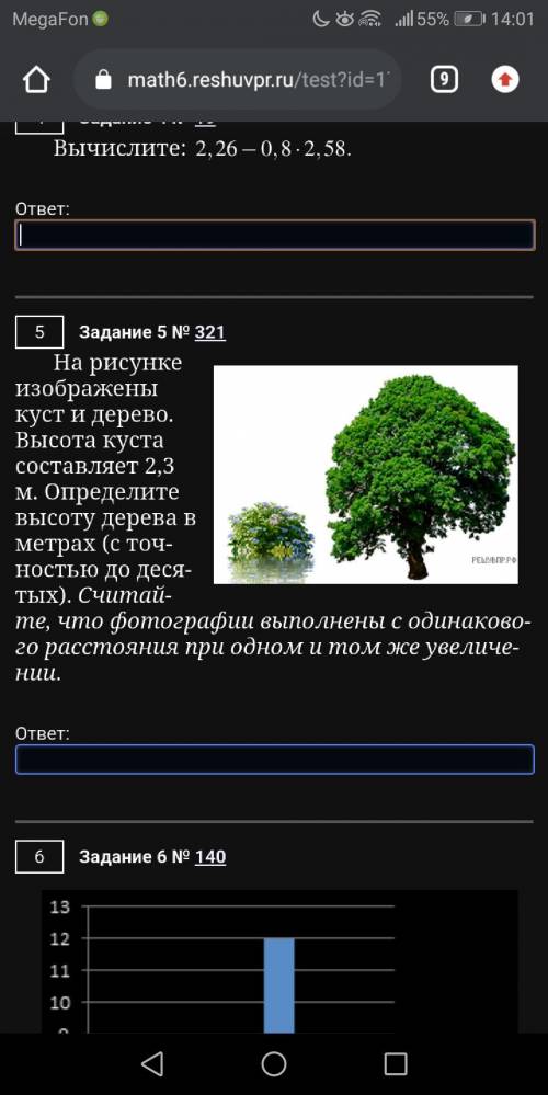 На рисунке изображены куст и дерево. Высота куста составляет 2,3 м. Определите высо