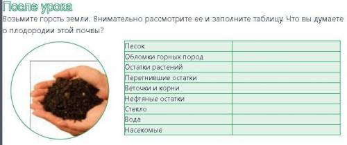 После урока Возьмите горсть земли. Внимательно рассмотрите ее и заполните таблицу. Что вы думаете о