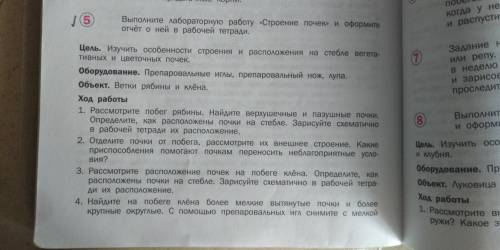 Лабораторная работа по биологии. СРOЧНО!!