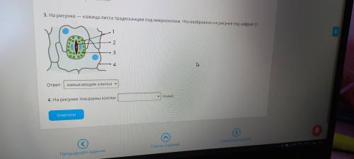Здравствуйте, подскажите .!